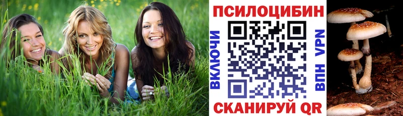 Псилоцибиновые грибы GOLDEN TEACHER  Купить закладки  Елизаветинская 